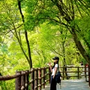 少华山国家森林公园 - 渭南市旅游 缩略图 9