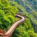 少华山国家森林公园 - 渭南市旅游 缩略图 6