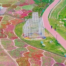 荷兰花海 - 盐城市旅游 缩略图 2