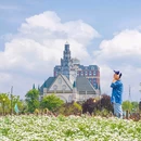 荷兰花海 - 盐城市旅游 缩略图 9