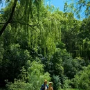 龙椅山植物园 - 成都市旅游 缩略图 2