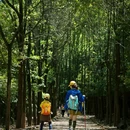 龙椅山植物园 - 成都市旅游 缩略图 6