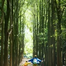 龙椅山植物园 - 成都市旅游 缩略图 8