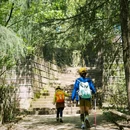 龙椅山植物园 - 成都市旅游 缩略图 9