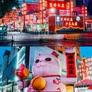 万柿大集 - 通辽市旅游 缩略图 2