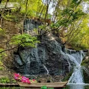 栾川蝴蝶谷风景区 - 洛阳市旅游 缩略图 4