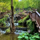 栾川蝴蝶谷风景区 - 洛阳市旅游 缩略图 3