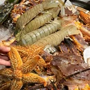 北山北新派铁锅炖·东北菜(民主广场店) - 大连市旅游 缩略图 5