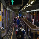 油麻地 - 香港特别行政区旅游 缩略图 8