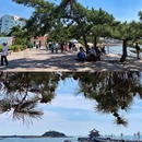 栈桥景区 - 青岛市旅游 缩略图 8