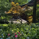 永福禅寺 - 杭州市旅游 缩略图 2