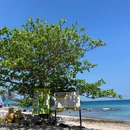 泰国 - 海外旅游 缩略图 6
