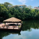 泰国 - 海外旅游 缩略图 9