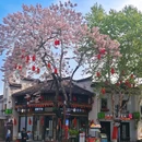 水亭门 - 衢州市旅游 缩略图 3