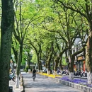 水亭门 - 衢州市旅游 缩略图 6
