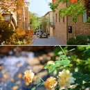 麓镇广场 - 成都市旅游 缩略图 9