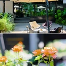西溪湿地深潭口 - 杭州市旅游 缩略图 7