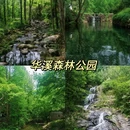 华溪森林公园 - 金华市旅游 缩略图 1