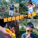 东山镇 - 苏州市旅游 缩略图 4