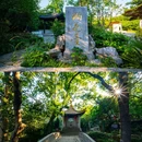 东山镇 - 苏州市旅游 缩略图 6
