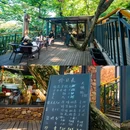 东山镇 - 苏州市旅游 缩略图 8