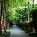 武侯祠博物馆-园林区 - 成都市旅游 缩略图 2