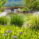 尼山鲁源村景区 - 济宁市旅游 缩略图 2