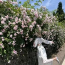 宝山旅游景区 - 成都市旅游 缩略图 4