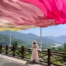 宝山旅游景区 - 成都市旅游 缩略图 7