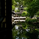 拙政园 - 苏州市旅游 缩略图 4