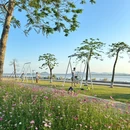 磨刀门水道碧道横琴新区1号段(环湾滨海碧道) - 珠海旅游 缩略图 5
