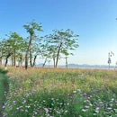 磨刀门水道碧道横琴新区1号段(环湾滨海碧道) - 珠海旅游 缩略图 4