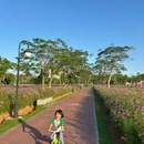 磨刀门水道碧道横琴新区1号段(环湾滨海碧道) - 珠海旅游 缩略图 3