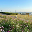 磨刀门水道碧道横琴新区1号段(环湾滨海碧道) - 珠海旅游 缩略图 8