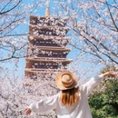 牛首山文化旅游区 - 南京市旅游 缩略图 2