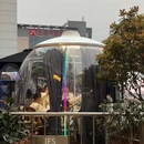 长沙IFS国金中心  - 长沙旅游 缩略图 9