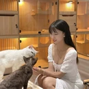 商务东二街与商务内环路交叉口 - 郑州市旅游 缩略图 6