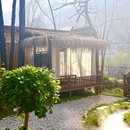 苏梅里茶餐厅 - 西安市旅游 缩略图 6