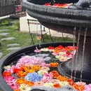 苏梅里茶餐厅 - 西安市旅游 缩略图 8