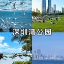 深圳世界之窗 - 深圳市旅游 缩略图 4