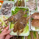 臻鲜海鲜集市火锅(列东街店) - 三明市旅游 缩略图 8