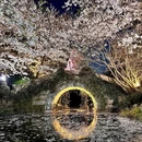 乌镇古镇旅游区 - 嘉兴市旅游 缩略图 5