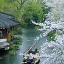 乌镇古镇旅游区 - 嘉兴市旅游 缩略图 2