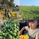 淇水湾海滩 - 文昌市旅游 缩略图 5
