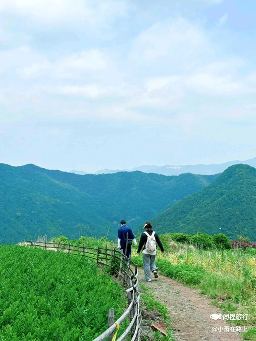 青宅 - 绍兴市旅游