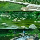 青宅 - 绍兴市旅游 缩略图 6