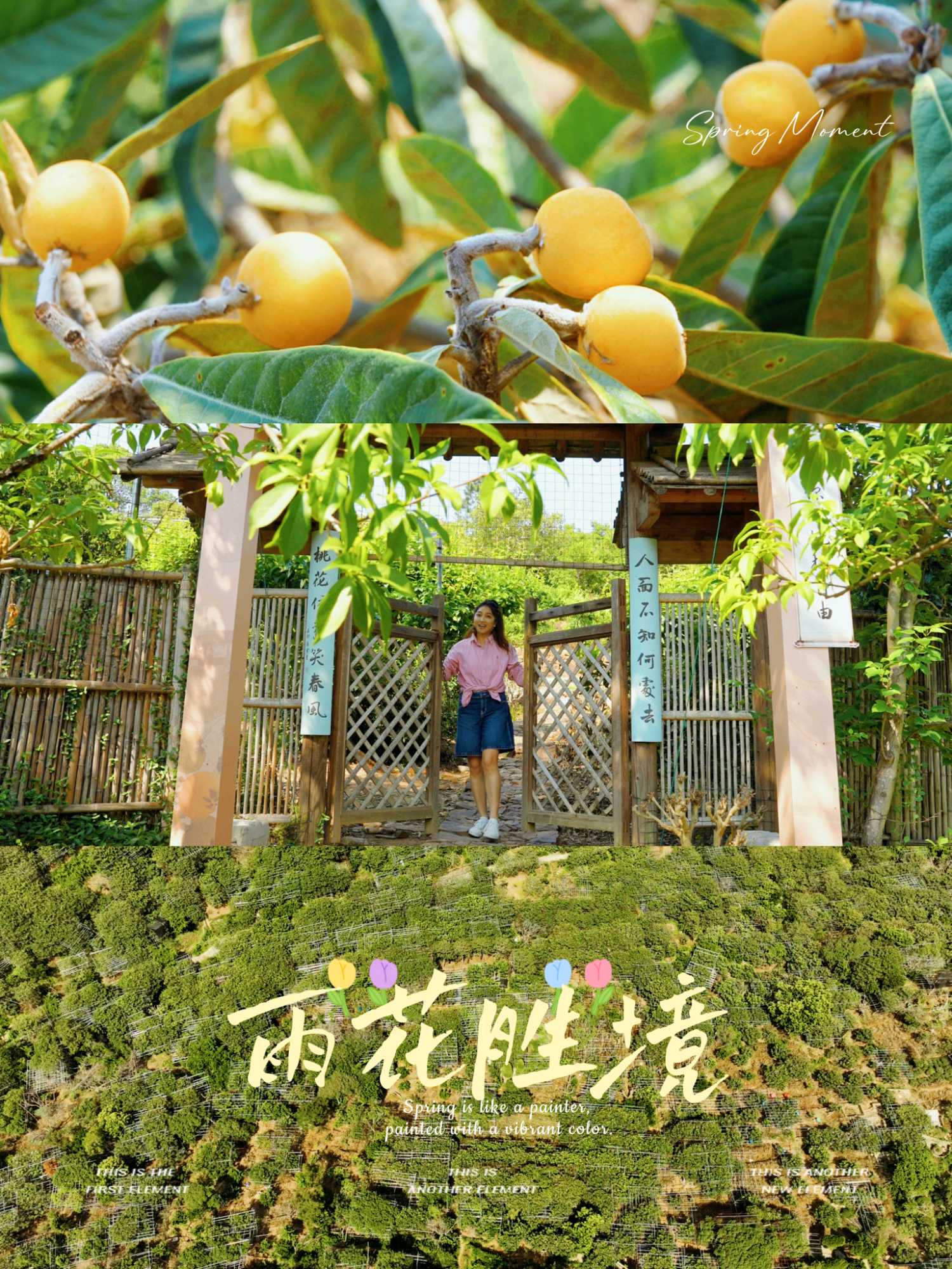 东园 - 苏州市旅游