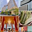 北京新青海喜来登酒店 - 北京市旅游 缩略图 8