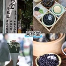 同里古镇风景区 - 苏州市旅游 缩略图 2