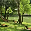 深圳中心公园 - 深圳市旅游 缩略图 1